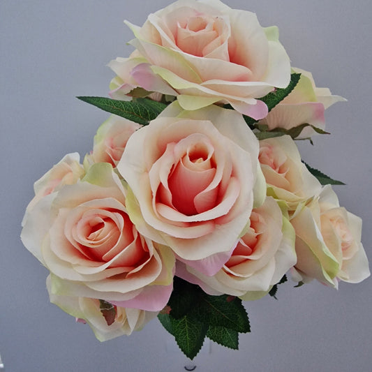 Beautiful Large Open Rose Bouquet in Peach 12 Stems Amor Flowers - Amor Flowers