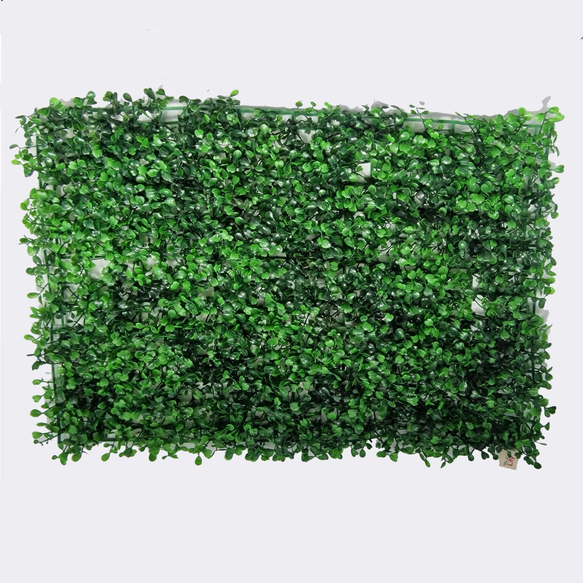 Boxwood Topiary Hedge Wall Panel 60cm x 40cm - Amor Flowers
