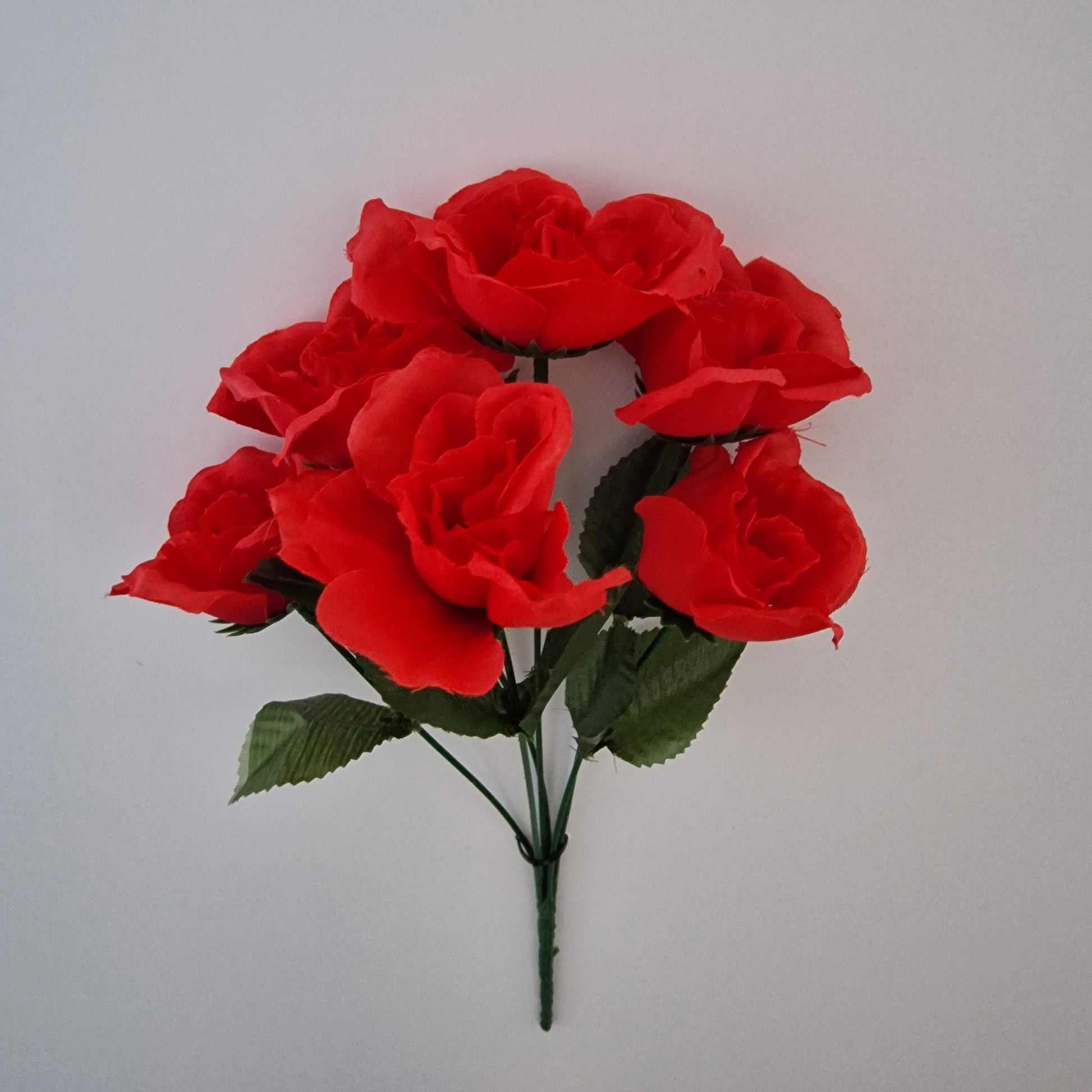 Cabbage Rose Bush Six Colours 5 Head - Amor Flowers