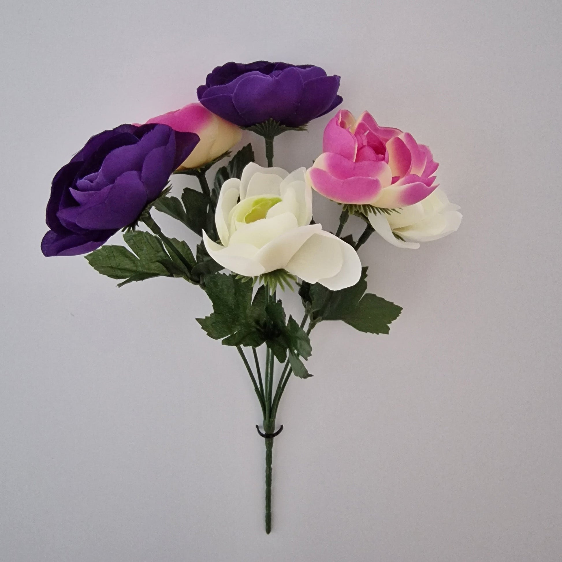 Ranunculus Bush in Six Colours - Amor Flowers