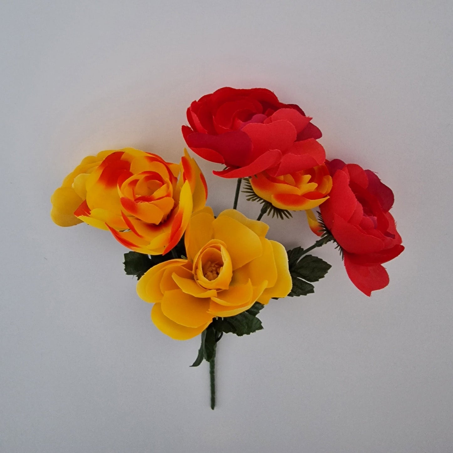 Ranunculus Bush in Six Colours - Amor Flowers